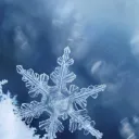 FrostBite