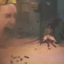 servidor WOKE