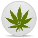 New Brunswick Cannibis Cooperative