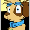 DISCOVFUR