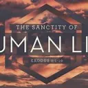Human Life