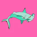 The Shark Tank