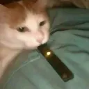The True Vape Hot Box