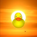 Rubber Duck Community