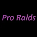Pro Raids