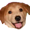 El discord de Strawn