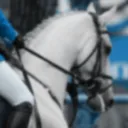 Oxer To Oxer