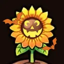 Sunflower Hills