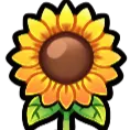 Sunflower Hills