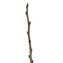 Twigcord