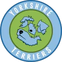 Yorkshire Terriers