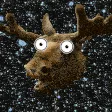 Mooseland