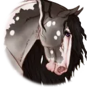 Khimaira Friesians
