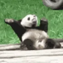 PANDA'S HUB