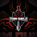 TEAM SHIELD icon