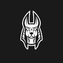 NEO Esports Discord Server Icon