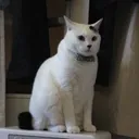 雀荘ゑふ