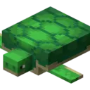 Turtle Gang