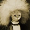 Dr. Squeakers Music