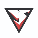 Voracity Esports Server Icon