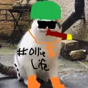 The Kingdom Of Ollie