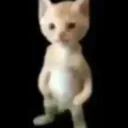 life is pain