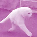 *mud slapping noises*