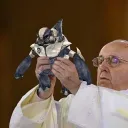 Halo: YapYap