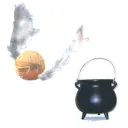 Potions&Snitches