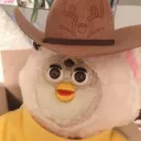 you've yeed your last haw