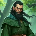 Druid's Magical Realms