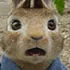 The Rabbit Hole