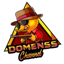 DSS