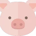 こんにちわ