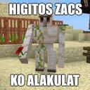 HIGÍTÓS ZACSKÓ ALAKULAT Discord Server Icon