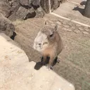 ねむたい