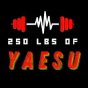 250LBOFYAESU HAMRADIO