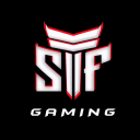 STF Gaming 🇮🇳 icon