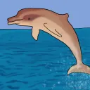 Tight Dolphin