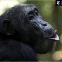 The Zoo