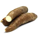 YUCA server