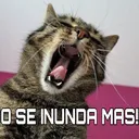 Clan del manaos