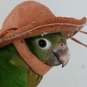 sosuwka