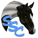 STAR STABLE COMPETITIONS icon