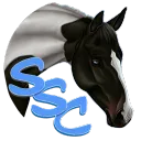 STAR STABLE COMPETITIONS