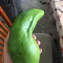 Bananalover