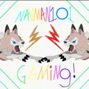 navman101 server