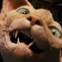 THE CALL OF THE WILD