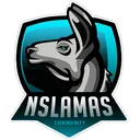 NSLamas - Comunidade de Jogos