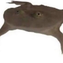 for the boys Server Icon